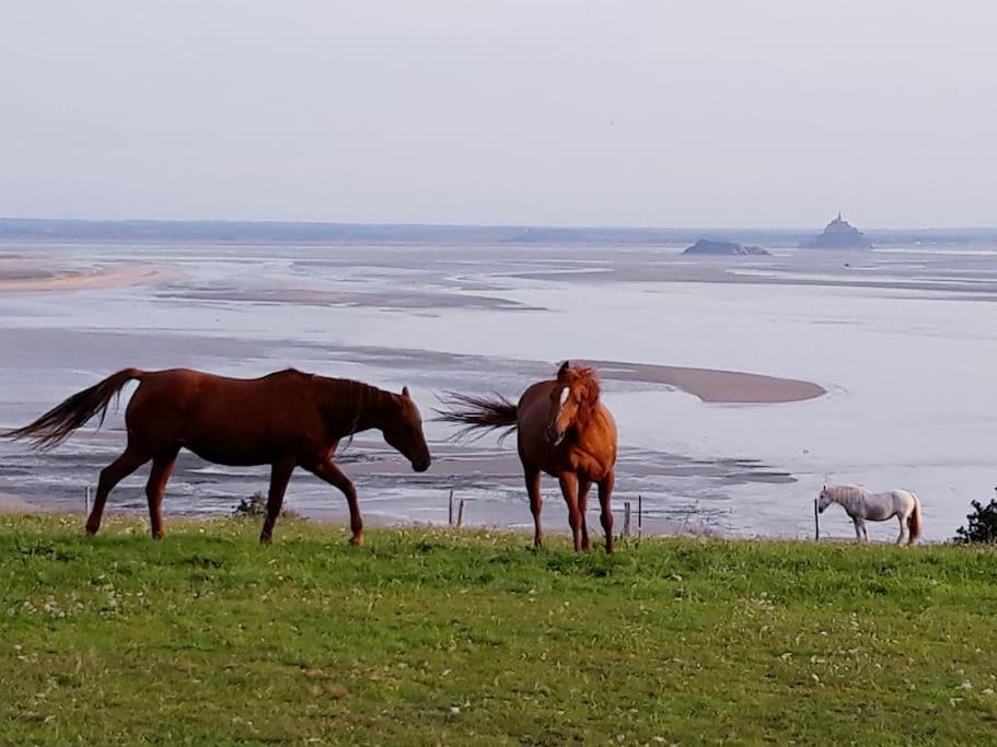 Maison Vue Sur Le Mont Saint Michel Et Sa Baie Champeaux Exterior photo